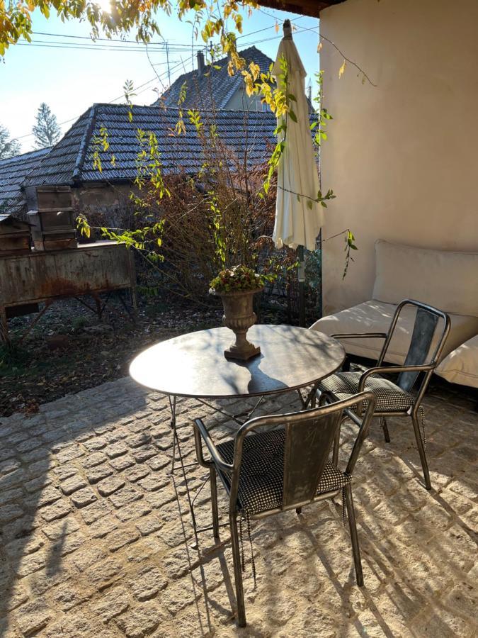 Studio De Charme Avec Terrasse Privee, Jardin Partage Bouxwiller  Dış mekan fotoğraf
